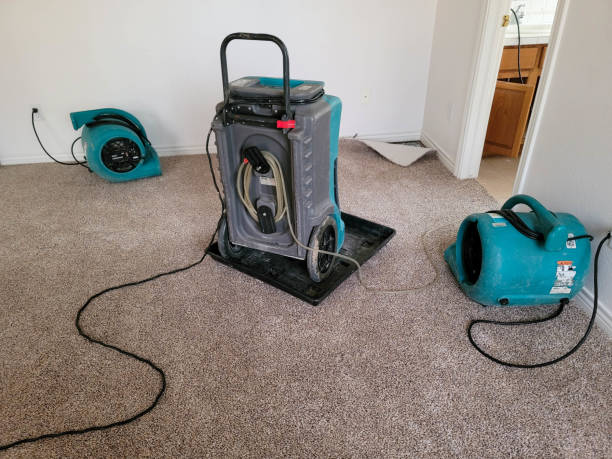 Best Sewage cleanup and water damage restoration  in Archer City, TX