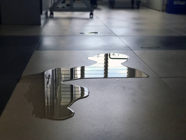 Best Carpet water damage restoration  in Archer City, TX