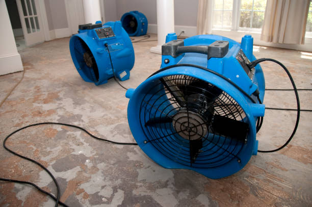 Best Flood restoration services  in Archer City, TX