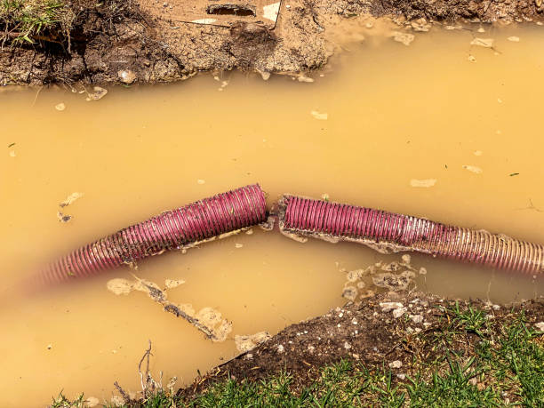 Best Water damage cleanup near me  in Archer City, TX